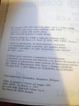 Codice Civile E Leggi Collegate 1995-96. Costit...