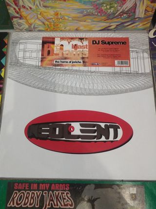 Lote 9 Vinilos Electrónica Dance