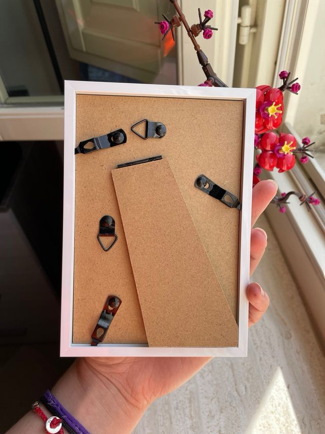 Cornice con Grafica Estesa Reshiram 167