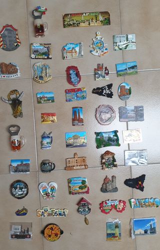 Calamite Italia e Mondo