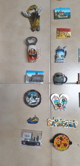 Calamite Italia e Mondo