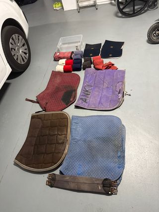 Lote de equipo ecuestre