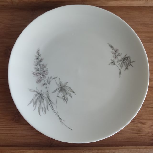 6 PLATOS PORCELANA BIDASOA - AÑOS 60