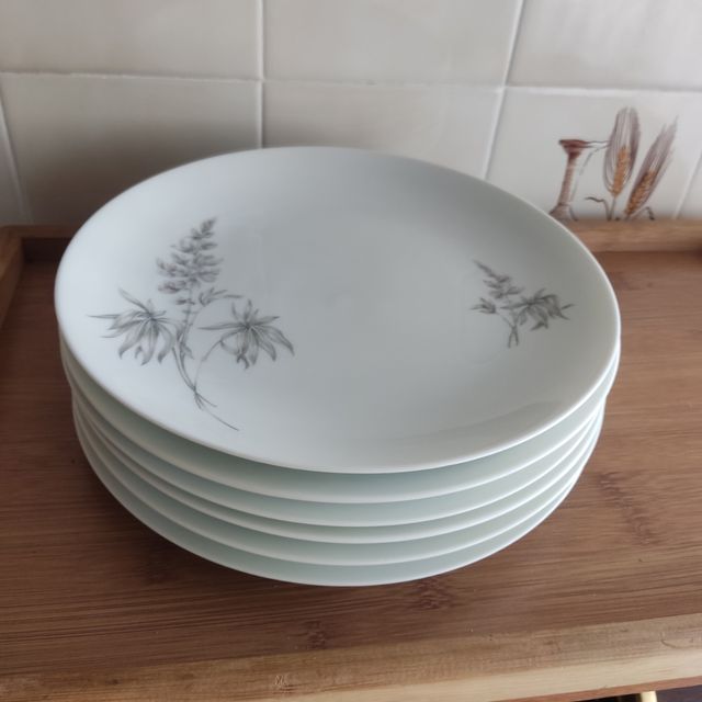 6 PLATOS PORCELANA BIDASOA - AÑOS 60