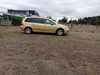 Peugeot 307 2004