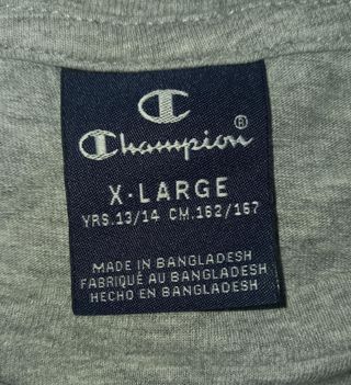 Camiseta de manga larga gris de la marca Champion