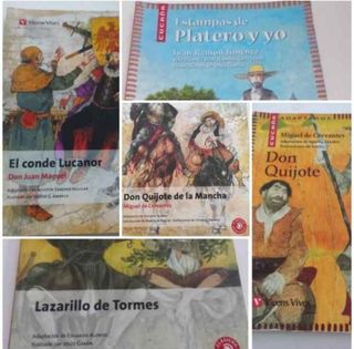 5 libros, instituto, El sí de las niñas, bodas de