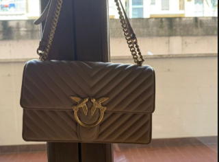 Borsa Pinko rigida tracolla/spalla marrone