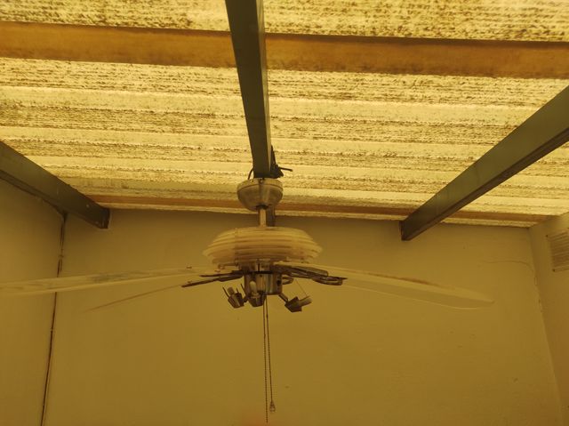 Ventilador de Techo Plata y Transparente