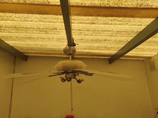 Ventilador de Techo Plata y Transparente