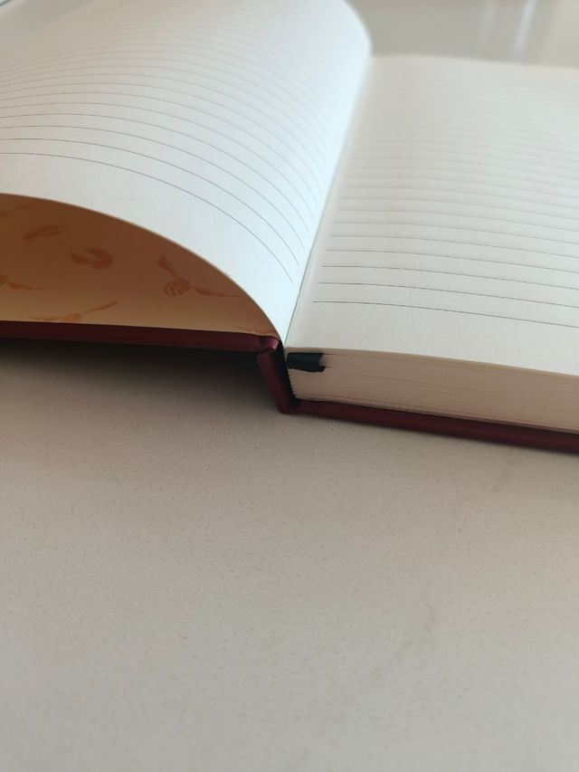 Libreta Harry Potter Muggle Studies