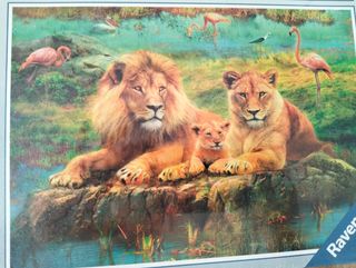 2 Puzzle Ravensburger 1000 pezzi