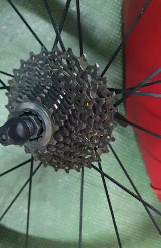 Rueda trasera Mavic Aksium cassette 28''