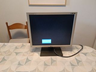 Monitor LG Flatron Plata