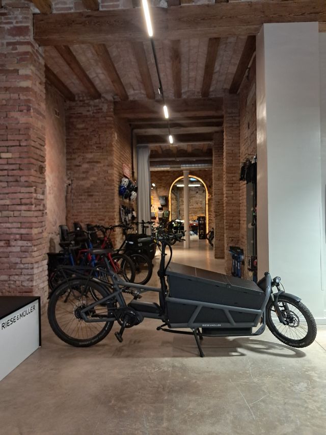 Riese & Muller Load 75 Rohloff Cargo Bike Speed