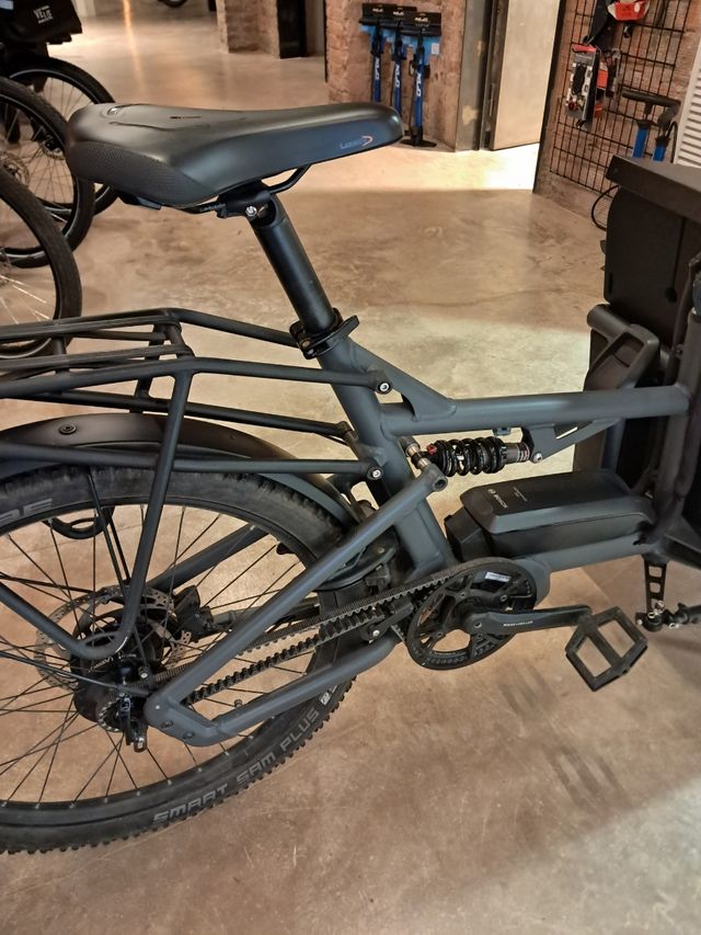 Riese & Muller Load 75 Rohloff Cargo Bike Speed