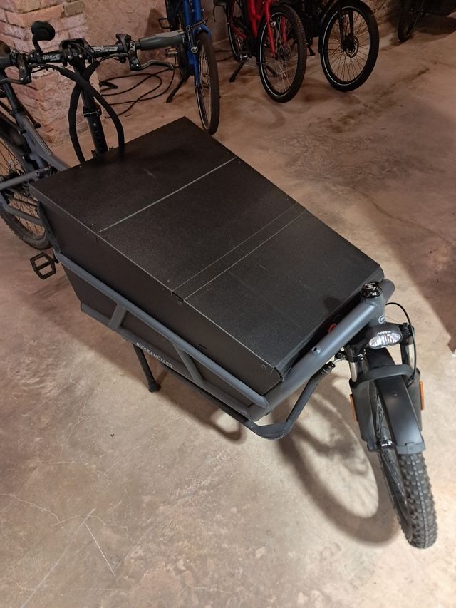 Riese & Muller Load 75 Rohloff Cargo Bike Speed