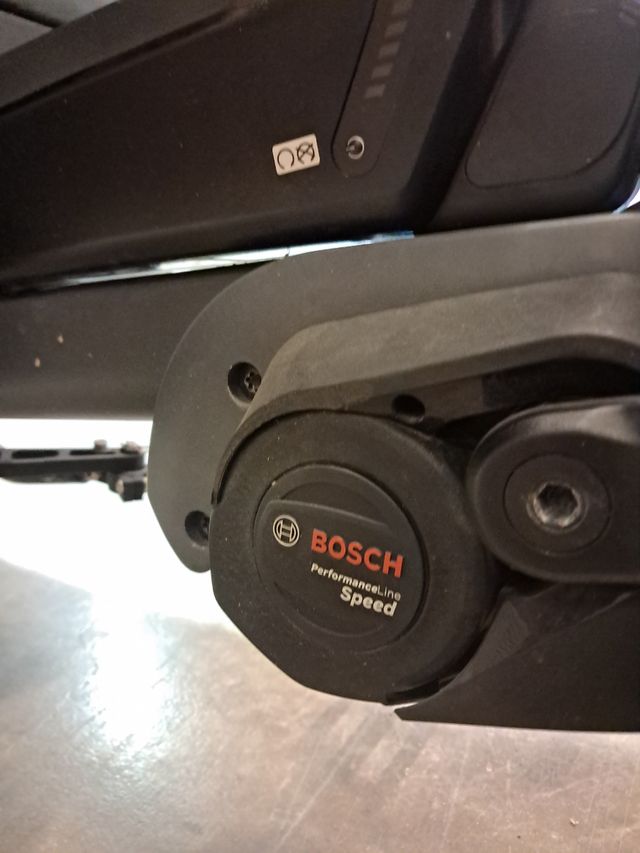 Riese & Muller Load 75 Rohloff Cargo Bike Speed