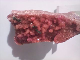 Mineral Cobaltocalcita Rosa