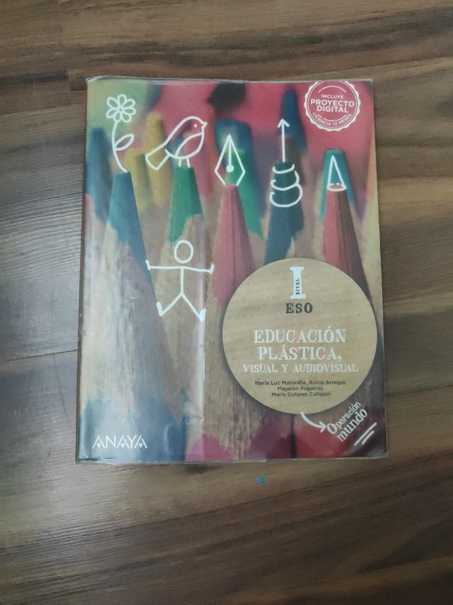 Educación Plástica, Visual y Audiovisual. Nivel...