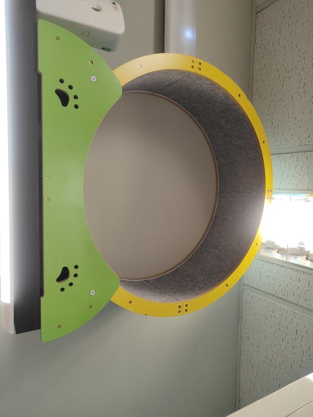 Rueda para gatos grande