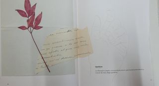 Anatomía de las emociones