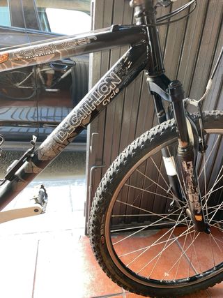 Bici de montaña o caminos 