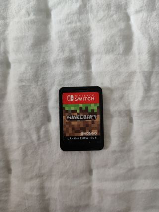 Minecraft Nintendo Switch