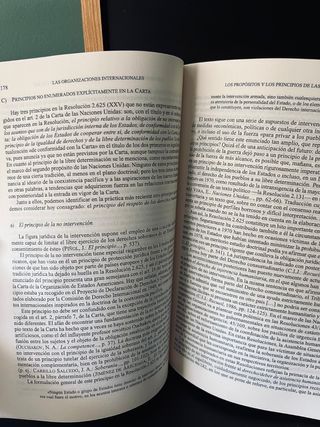 Las organizaciones internacionales (Biblioteca ...