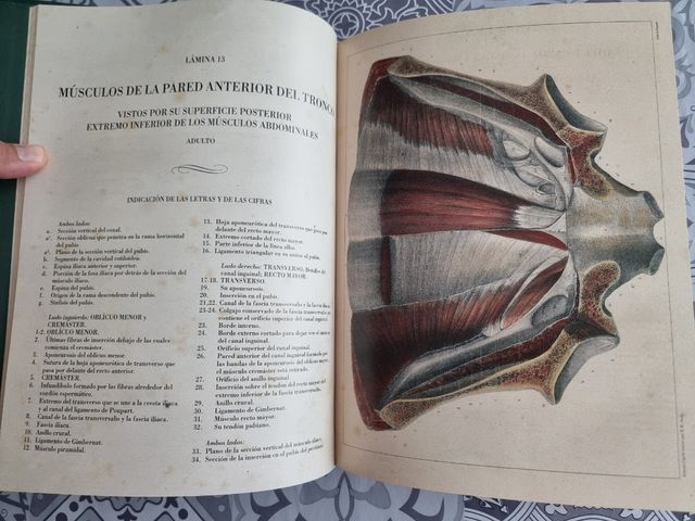 MIOLOGIA. La Anatomía del Hombre
Dr Bourgery 