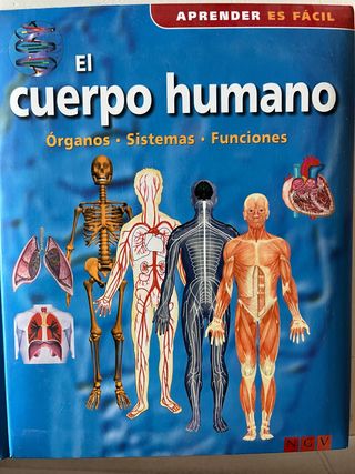 El cuerpo humano