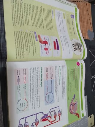 BIOLOGIA Y GEOLOGIA 1 ESO CONSTRUYENDO MUNDOS