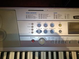 Teclado Órgano Yamaha DGX 202