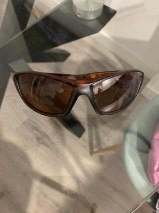 Gafas de sol tortuga