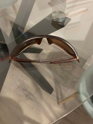 Gafas de sol tortuga