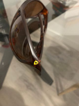 Gafas de sol tortuga