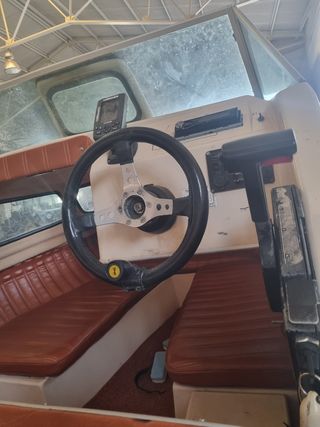 Barca de recreo 115cv mercury con remolque