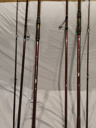 2 Cañas Daiwa Prime Caster SS33425H