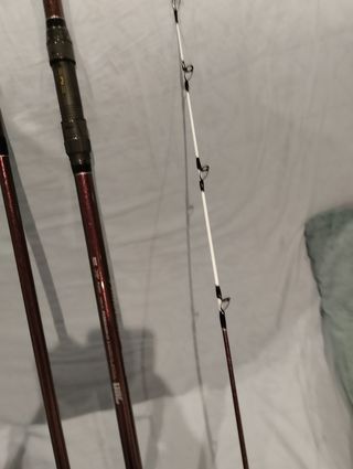 2 Cañas Daiwa Prime Caster SS33425H