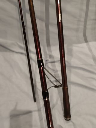 2 Cañas Daiwa Prime Caster SS33425H