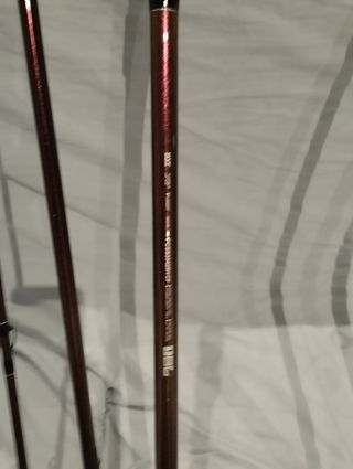 2 Cañas Daiwa Prime Caster SS33425H