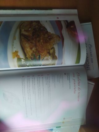 colección de libros de cocina.Inés y Simone ortega