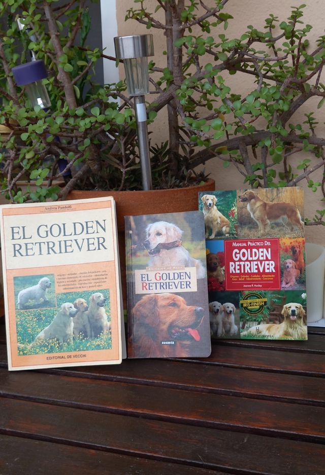 3 manuales para amantes de el Golden Retriever