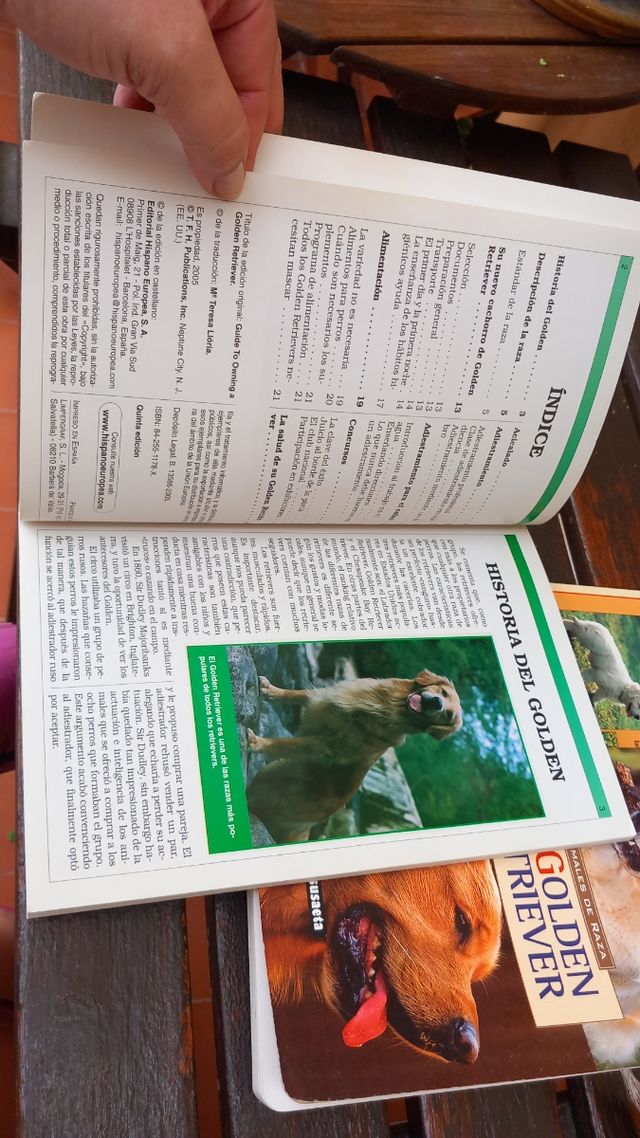 3 manuales para amantes de el Golden Retriever
