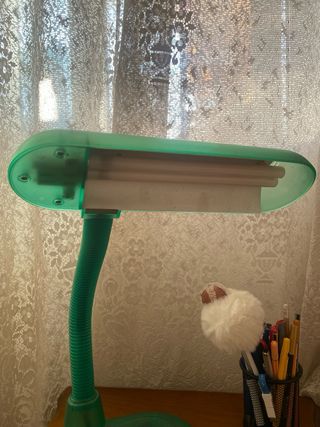 Flexo de estudio verde