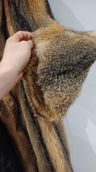 Abrigo de Zorro Grande