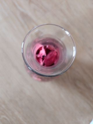 Jarrón de cristal con hojas secas rosas