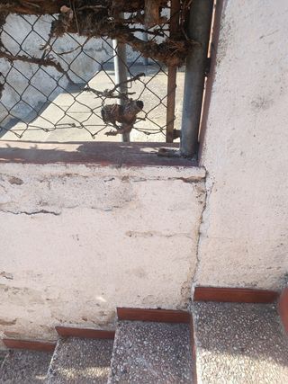 Reparaciones de muros y colocación de valla