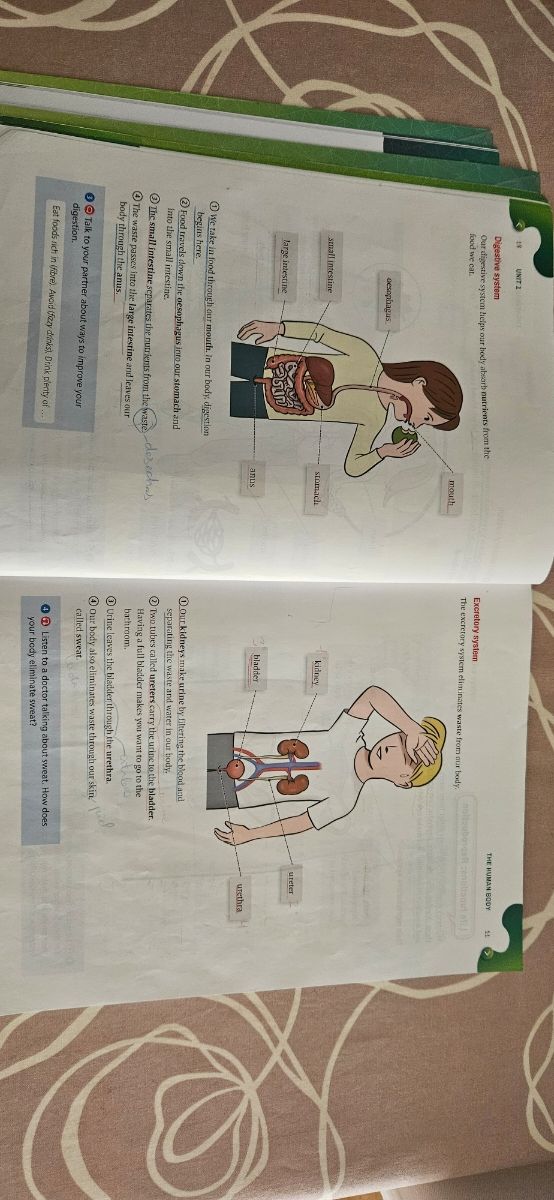 Natural Science 4 Outside the Box Sb Pk