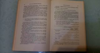 Niño Frente Al Mundo, El